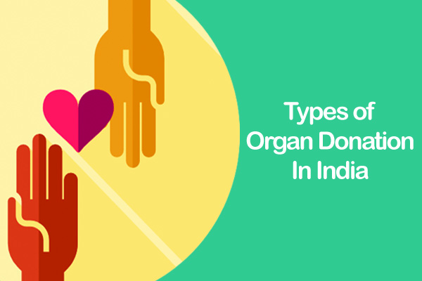 Types Of Organ Donation In India The Health