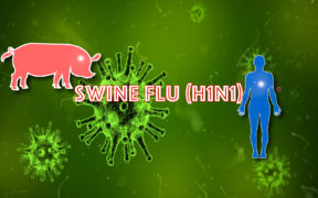 How To Avoid Swine Flu In India