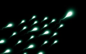 decline in sperm counts