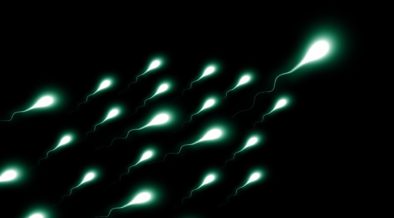 decline in sperm counts